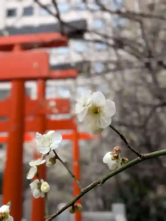 銀世界稲荷神社(東京都)