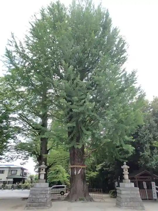 春日部八幡神社のその他建物