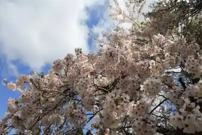 大原観音堂の自然