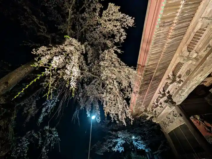 田村大元神社(福島県)