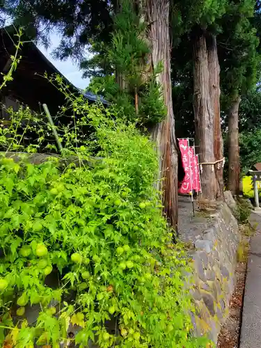 高司神社〜むすびの神の鎮まる社〜のその他建物
