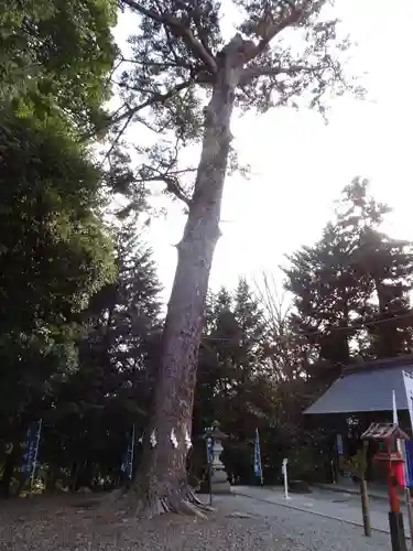 滑川神社 - 仕事と子どもの守り神(福島県)