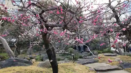 湯島天満宮の庭園