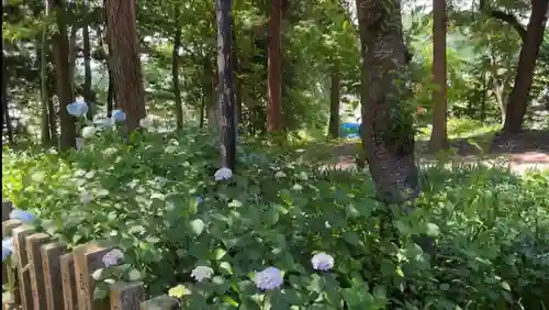 飯笠山神社の自然