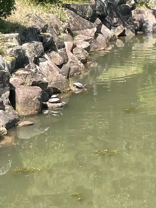 縣主神社(岡山県)