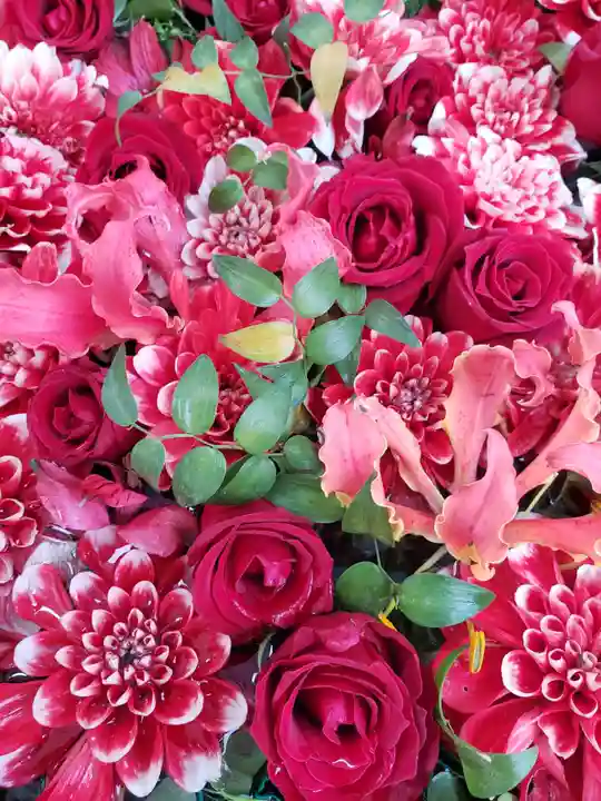 【閉業】小石川大神宮(東京都)