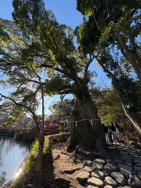 三嶋大社(静岡県)