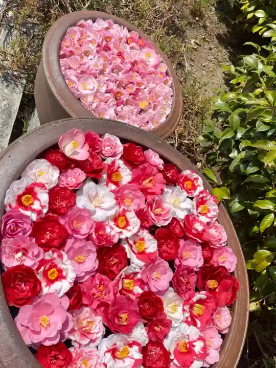 霊鑑寺門跡の手水舎