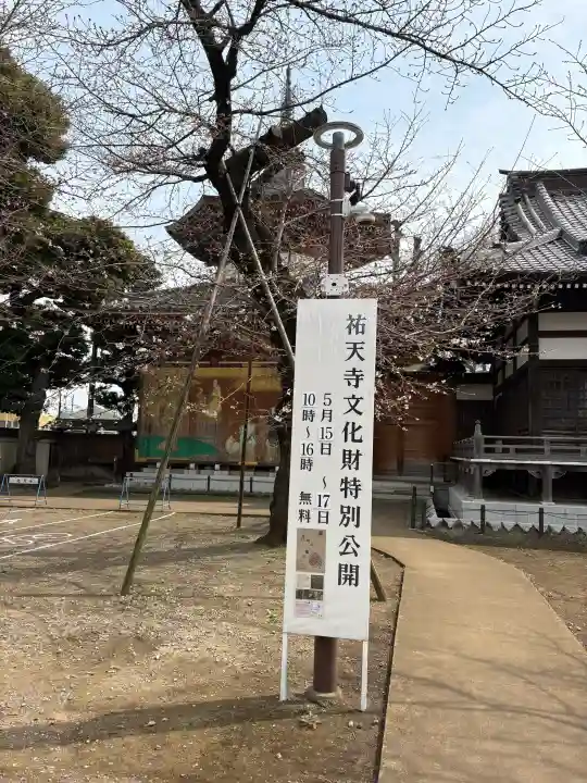 祐天寺の{uncategorized: "未分類", other: "その他", undefined: "問題あり", building: "その他建物", grave: "お墓", sacred_gate: "鳥居", guardian: "狛犬", statue: "像", buddha: "仏像", history: "歴史", nature: "自然", garden: "庭園", animal: "動物", pagoda: "塔", temizu: "手水舎", mountain_gate: "山門・神門", sanctuary: "本殿・本堂", subordinate: "末社・摂社", art: "芸術", scenery: "景色", jizo: "地蔵", ema: "絵馬", goshuin: "御朱印", omikuji: "おみくじ", items: "授与品その他", amulet: "お守り", goshuincho: "御朱印帳", eats: "食事", festival: "お祭り", votive_dance: "神楽", shichigosan: "七五三参", wedding: "結婚式", experience: "体験その他", initially: "初詣", around: "周辺", anti_infection: "感染症対策"}