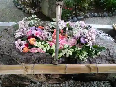 阿智神社(岡山県)