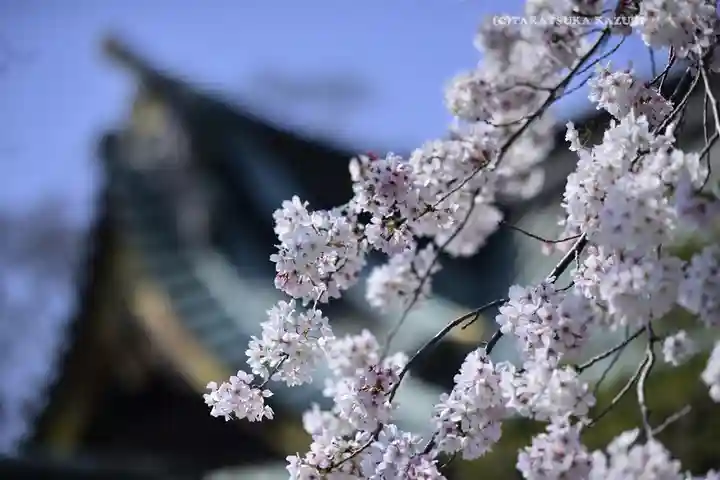 三嶋大社(静岡県)