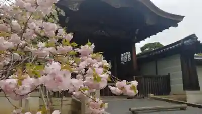 仁和寺の山門・神門