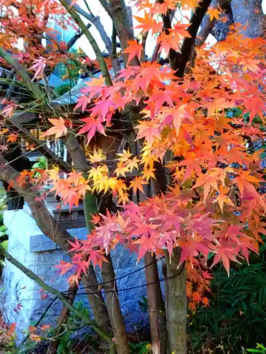 成子天神社(東京都)