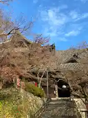 長谷寺(奈良県)