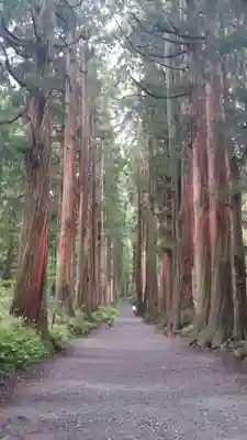 戸隠神社奥社の周辺