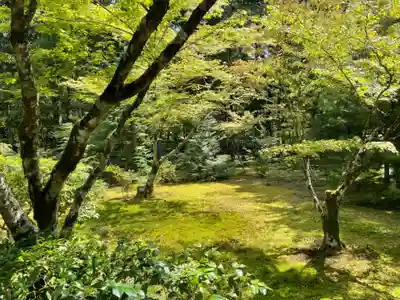 西芳寺(京都府)
