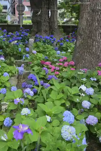 磐井神社の自然