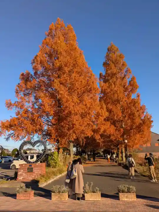 野木神社の周辺