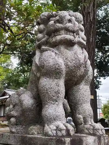 豊玉氷川神社の狛犬