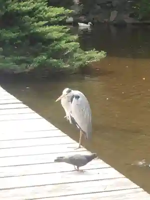 平塚八幡宮(神奈川県)