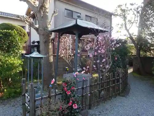 法雲寺の像