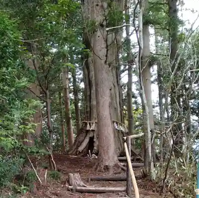 零羊崎神社(宮城県)