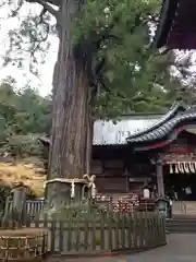 新倉富士浅間神社の自然