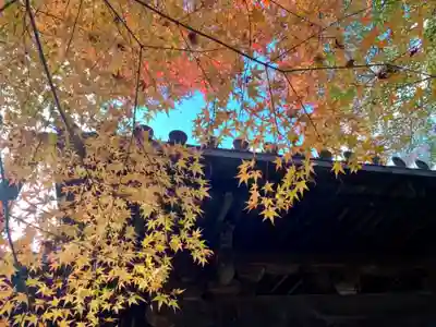 善法律寺(京都府)