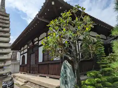 大恩寺(京都府)