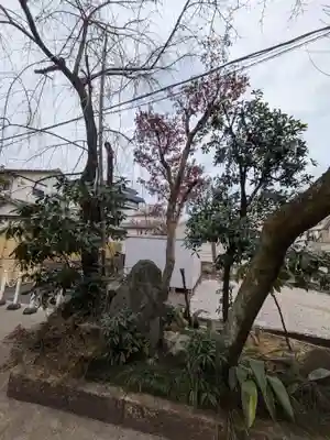 慈照院(東京都)