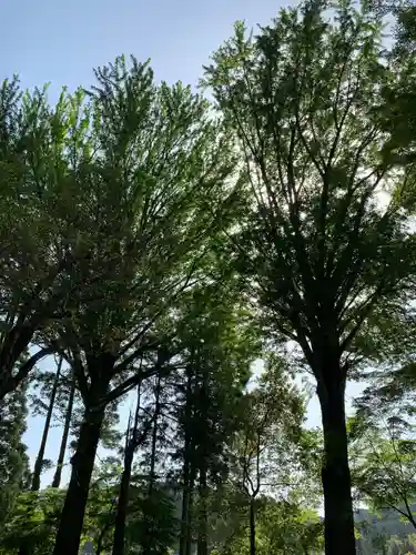 天照神社の自然