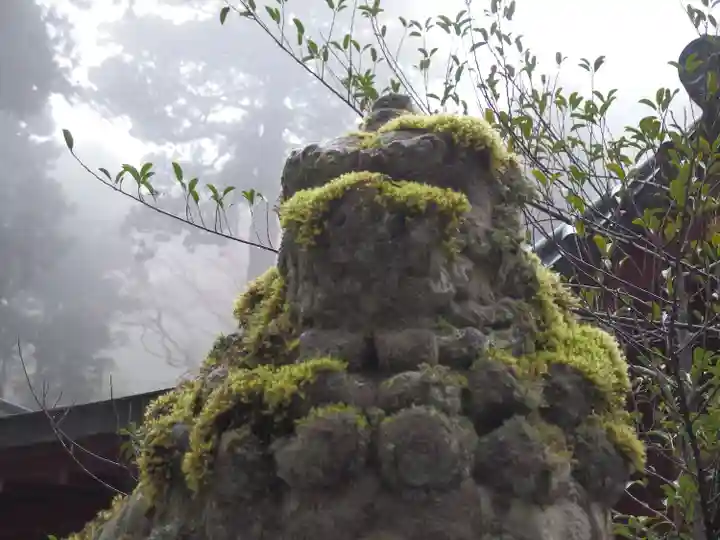 箱根神社(神奈川県)