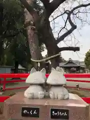 箭弓稲荷神社の狛犬