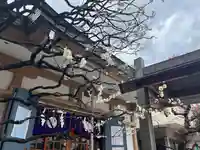 穏田神社(東京都)