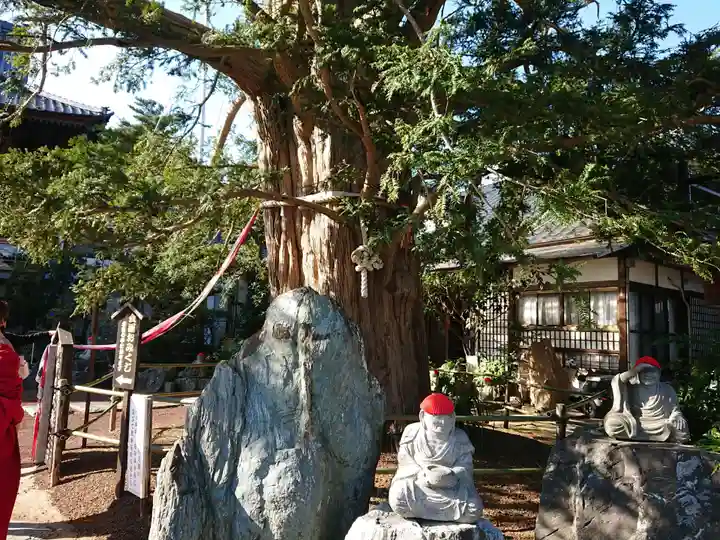 済広寺のその他建物
