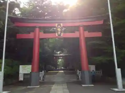 大宮八幡宮の鳥居