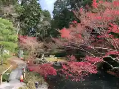 くろ谷 金戒光明寺の庭園