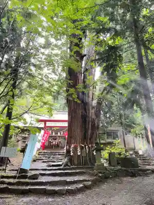 磐椅神社(福島県)