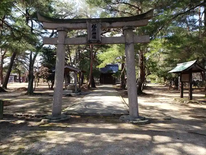 松原神社の鳥居