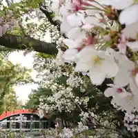 住吉大社の自然