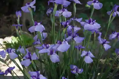 東海市熊野神社の手水舎