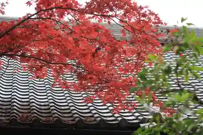 石清水八幡宮(京都府)