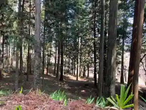 大宮温泉神社(栃木県)(2022年03月27日(日) 07時44分28秒投稿)