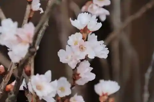 阿邪訶根神社の授与品その他
