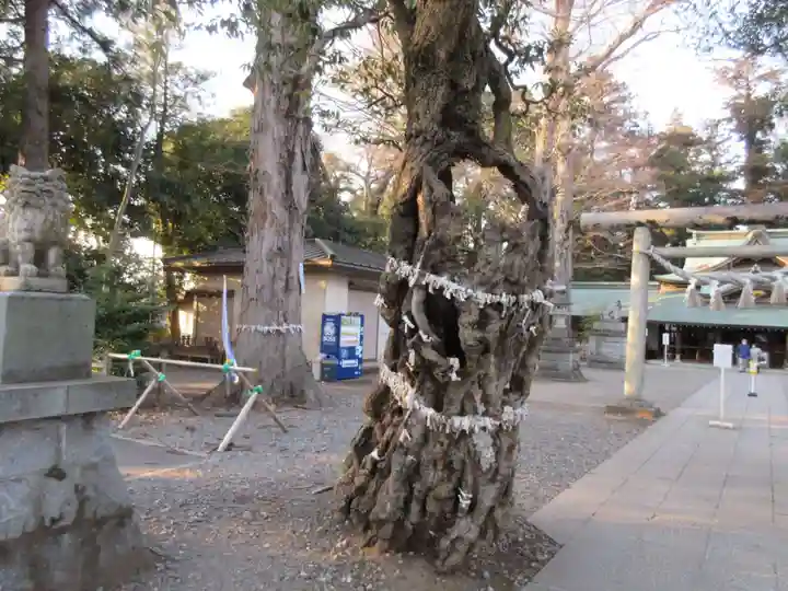 一言主神社の自然