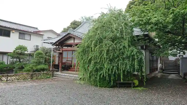 大行寺の本殿・本堂