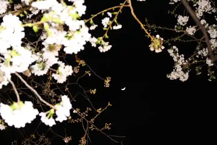 くまくま神社(導きの社 熊野町熊野神社)の自然