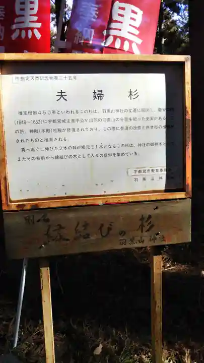 羽黒山神社の歴史