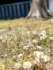 古町豊受大神宮(長野県)