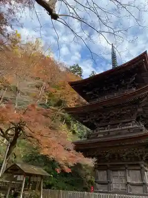 金剛院(京都府)